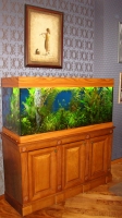 Шафа під акваріум