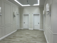 Двери белые ясень